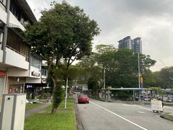 Cheong Chin Nam Road (D21), Semi-Detached #458061461